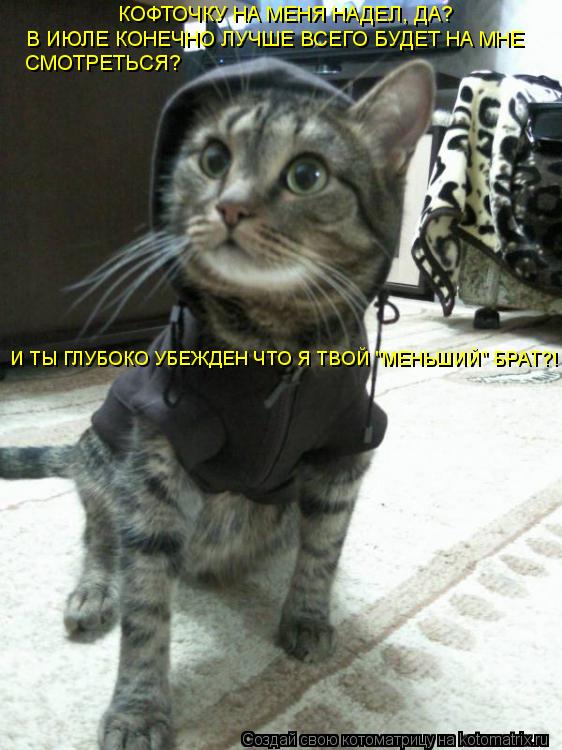 КОФТОЧКУ НА МЕНЯ НАДЕЛ, ДА? В ИЮЛЕ КОНЕЧНО ЛУЧШЕ ВСЕГО БУДЕТ НА МНЕ СМОТРЕТЬСЯ? И ТЫ ГЛУБОКО УБЕЖДЕН ... Котоматрица: КОФТОЧКУ НА МЕНЯ НАДЕЛ, ДА? В ИЮЛЕ КОНЕЧНО ЛУЧШЕ ВСЕГО БУДЕТ НА МНЕ СМОТРЕТЬСЯ? И ТЫ ГЛУБОКО УБЕЖДЕН ЧТО Я ТВОЙ "МЕНЬШИЙ" БРАТ?!