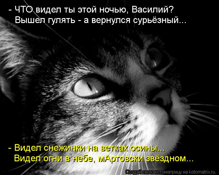 - ЧТО видел ты этой ночью, Василий? Вышел гулять - а вернулся сурьёзный... - Видел снежинки на ветках... Котоматрица: - ЧТО видел ты этой ночью, Василий? Вышел гулять - а вернулся сурьёзный... - Видел снежинки на ветках осины... Видел огни в небе, мАртовски звёзд