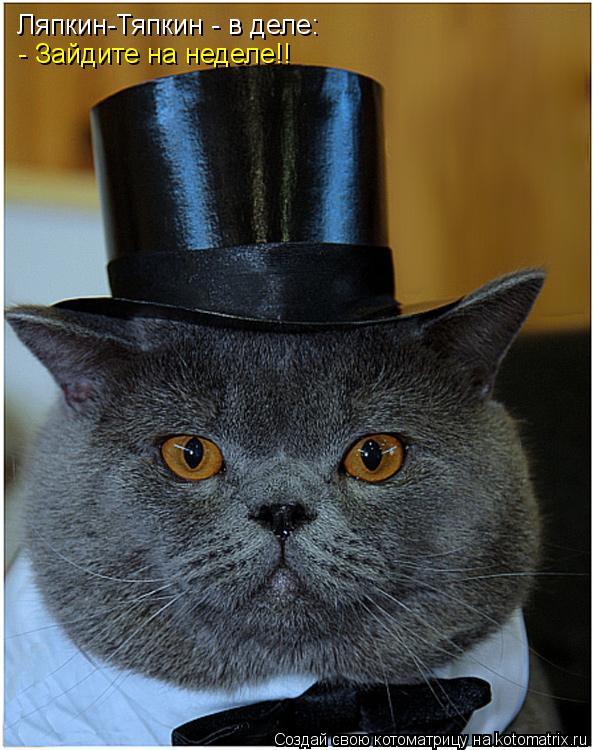Ляпкин-Тяпкин - в деле: - Зайдите на неделе!!... Котоматрица: Ляпкин-Тяпкин - в деле: - Зайдите на неделе!!