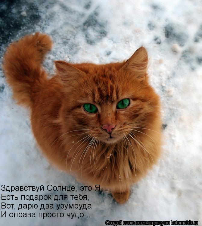 И оправа просто чудо... Вот, дарю два узумруда Есть подарок для тебя, Здравствуй Солнце, это Я... Котоматрица: И оправа просто чудо... Вот, дарю два узумруда Есть подарок для тебя, Здравствуй Солнце, это Я