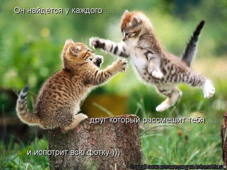 Он найдётся у каждого .... друг который рассмешит тебя ..... и испотрит всю фотку )))... Котоматрица: Он найдётся у каждого .... друг который рассмешит тебя ..... и испотрит всю фотку )))