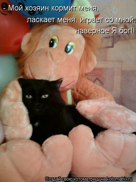 - Мой хозяин кормит меня, ласкает меня, играет со мной: наверное Я бог!!... Котоматрица: - Мой хозяин кормит меня, ласкает меня, играет со мной: наверное Я бог!!