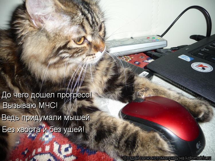 До чего дошел прогресс! Вызываю МЧС! Ведь придумали мышей Без хвоста и без ушей!... Котоматрица: До чего дошел прогресс! Вызываю МЧС! Ведь придумали мышей Без хвоста и без ушей!
