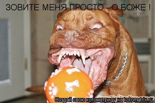 ЗОВИТЕ МЕНЯ ПРОСТО - О БОЖЕ !... Котоматрица: ЗОВИТЕ МЕНЯ ПРОСТО - О БОЖЕ !