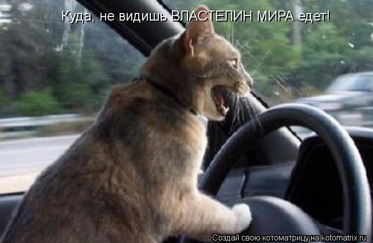 Куда, не видишь ВЛАСТЕЛИН МИРА едет! Куда, не видишь ВЛАСТЕЛИН МИРА едет!... Котоматрица: Куда, не видишь ВЛАСТЕЛИН МИРА едет! Куда, не видишь ВЛАСТЕЛИН МИРА едет!