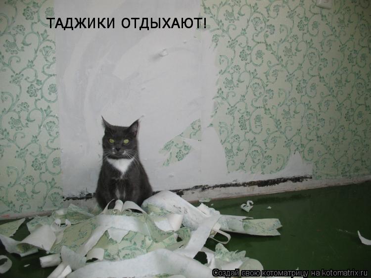 ТАДЖИКИ ОТДЫХАЮТ! ТАДЖИКИ ОТДЫХАЮТ!... Котоматрица: ТАДЖИКИ ОТДЫХАЮТ! ТАДЖИКИ ОТДЫХАЮТ!