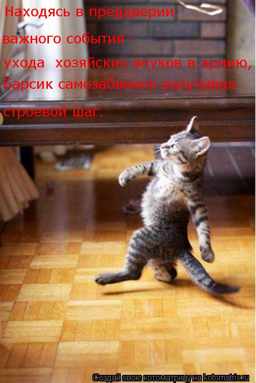 ухода хозяйских внуков в армию, Находясь в преддверии важного события - Барсик самозабвенно разуч... Котоматрица: ухода хозяйских внуков в армию, Находясь в преддверии важного события - Барсик самозабвенно разучивал строевой шаг.