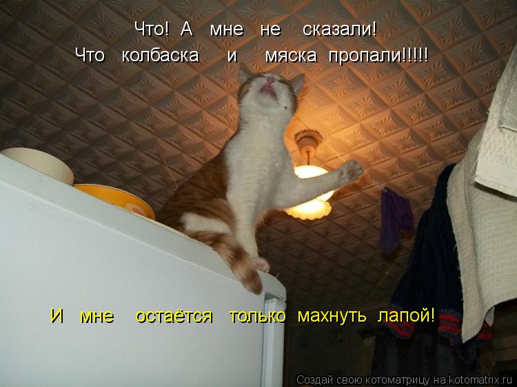 Что! А мне не сказали! Что колбаска и мяска пропали!!!!! И мне остаётся т... Котоматрица: Что! А мне не сказали! Что колбаска и мяска пропали!!!!! И мне остаётся только махнуть лапой!