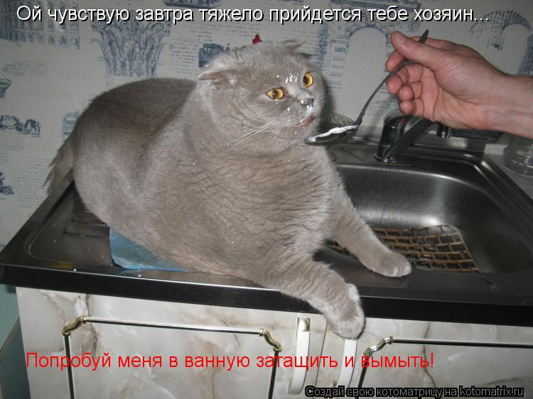 Ой чувствую завтра тяжело прийдется тебе хозяин... Попробуй меня в ванную затащить и вымыть!... Котоматрица: Ой чувствую завтра тяжело прийдется тебе хозяин... Попробуй меня в ванную затащить и вымыть!