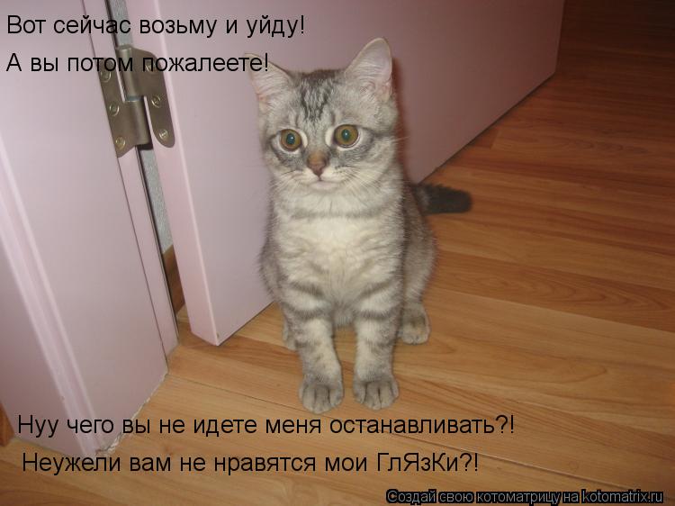 Вот сейчас возьму и уйду! А вы потом пожалеете! Нуу чего вы не идете меня останавливать?! Неужели вам... Котоматрица: Вот сейчас возьму и уйду! А вы потом пожалеете! Нуу чего вы не идете меня останавливать?! Неужели вам не нравятся мои ГлЯзКи?!