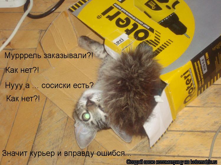 Мурррель заказывали?! Как нет?! Нууу а ... сосиски есть? Как нет?! Значит курьер и вправду ошибся...... Котоматрица: Мурррель заказывали?! Как нет?! Нууу а ... сосиски есть? Как нет?! Значит курьер и вправду ошибся...