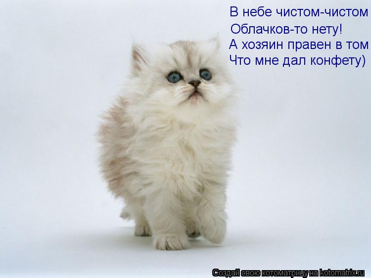 В небе чистом-чистом Облачков-то нету! А хозяин правен в том Что мне дал конфету)... Котоматрица: В небе чистом-чистом Облачков-то нету! А хозяин правен в том Что мне дал конфету)