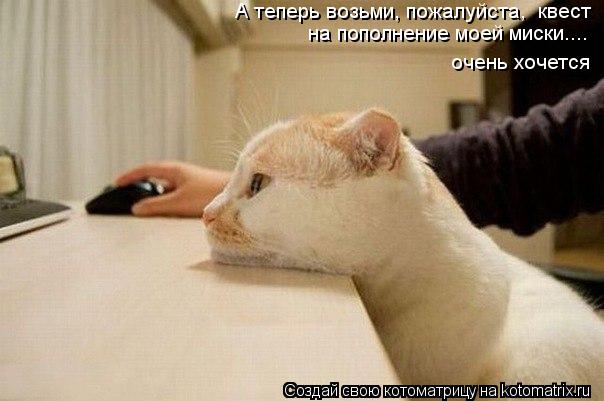 А теперь возьми, пожалуйста, квест на пополнение моей миски.... очень хочется... Котоматрица: А теперь возьми, пожалуйста, квест на пополнение моей миски.... очень хочется