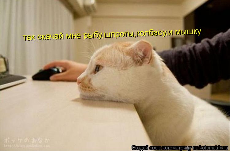 так скачай мне рыбу,шпроты,колбасу,и мышку... Котоматрица: так скачай мне рыбу,шпроты,колбасу,и мышку