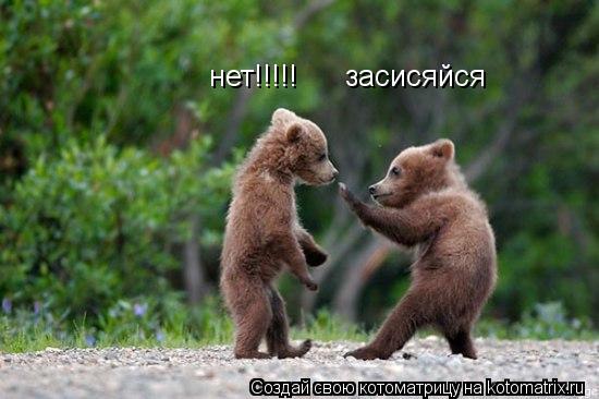 засисяйся нет!!!!!... Котоматрица: засисяйся нет!!!!!