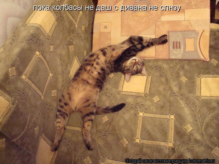 пока колбасы не даш с дивана не слнзу... Котоматрица: пока колбасы не даш с дивана не слнзу