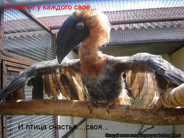 Счастье у каждого свое... И птица счастья...,своя...... Котоматрица: Счастье у каждого свое... И птица счастья...,своя...