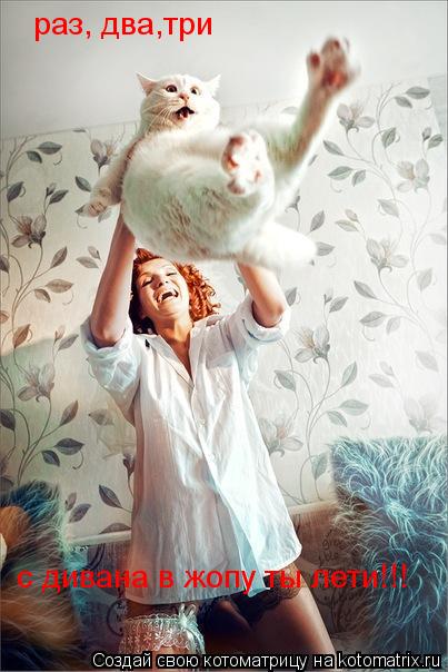 раз, два,три с дивана в жопу ты лети!!!... Котоматрица: раз, два,три с дивана в жопу ты лети!!!
