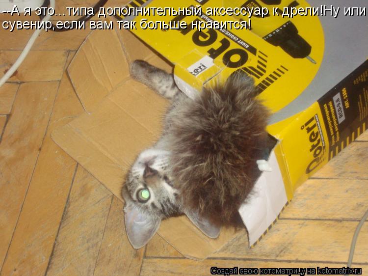 --А я это...типа дополнительный аксессуар к дрели!Ну или сувенир,если вам так больше нравится!... Котоматрица: --А я это...типа дополнительный аксессуар к дрели!Ну или сувенир,если вам так больше нравится!
