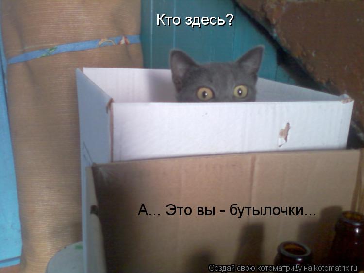 Кто здесь? А... Это вы - бутылочки...... Котоматрица: Кто здесь? А... Это вы - бутылочки...