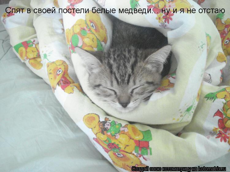 Спят в своей постели белые медведи... ну и я не отстаю... Котоматрица: Спят в своей постели белые медведи... ну и я не отстаю
