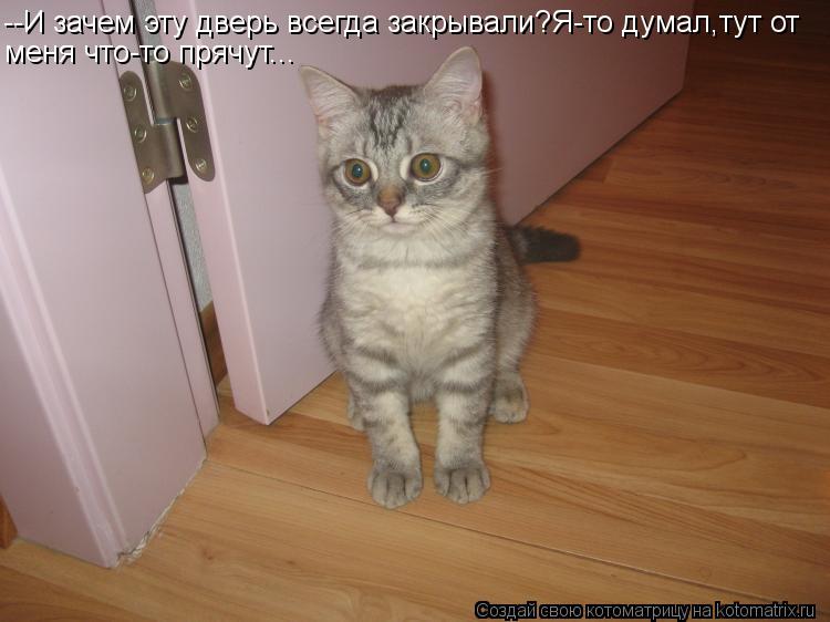 --И зачем эту дверь всегда закрывали?Я-то думал,тут от меня что-то прячут...... Котоматрица: --И зачем эту дверь всегда закрывали?Я-то думал,тут от меня что-то прячут...