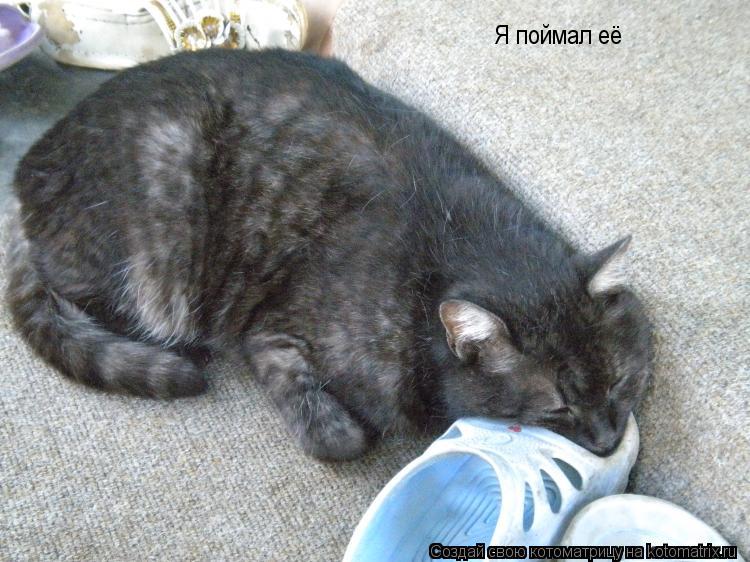 Я поймал её... Котоматрица: Я поймал её