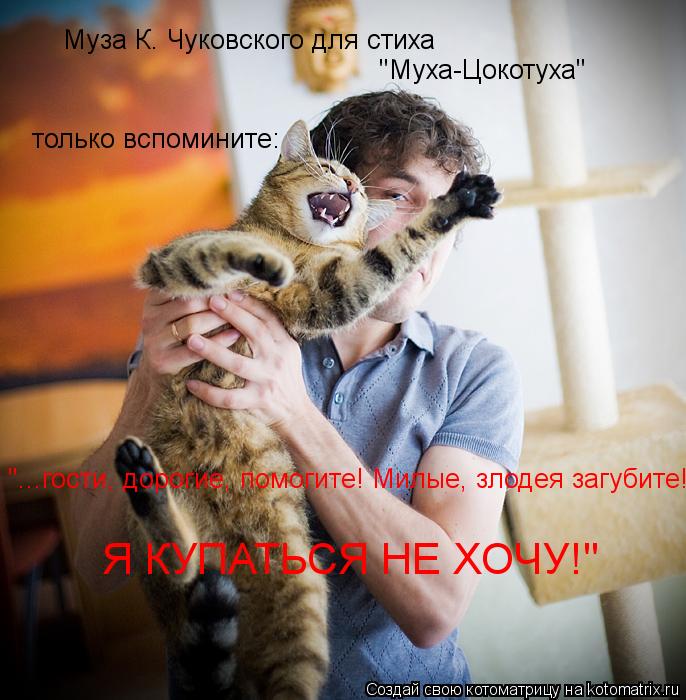 Муза К. Чуковского для стиха "Муха-Цокотуха" только вспомините: "...гости, дорогие, помогите! Милые, ... Котоматрица: Муза К. Чуковского для стиха "Муха-Цокотуха" только вспомините: "...гости, дорогие, помогите! Милые, злодея загубите! Я КУПАТЬСЯ НЕ ХОЧУ!"