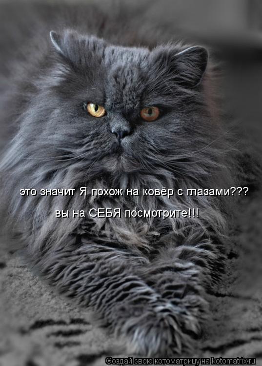 это значит Я похож на ковёр с глазами??? вы на СЕБЯ посмотрите!!!... Котоматрица: это значит Я похож на ковёр с глазами??? вы на СЕБЯ посмотрите!!!