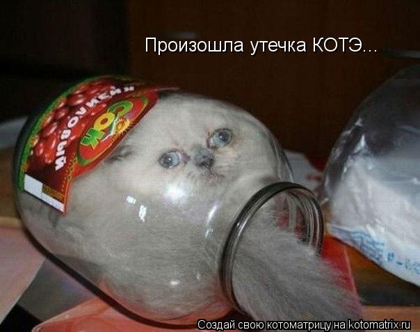 Произошла утечка КОТЭ...... Котоматрица: Произошла утечка КОТЭ...