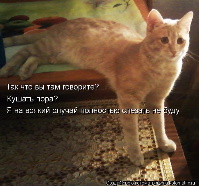 Так что вы там говорите? Кушать пора? Я на всякий случай полностью слезать не буду... Котоматрица: Так что вы там говорите? Кушать пора? Я на всякий случай полностью слезать не буду