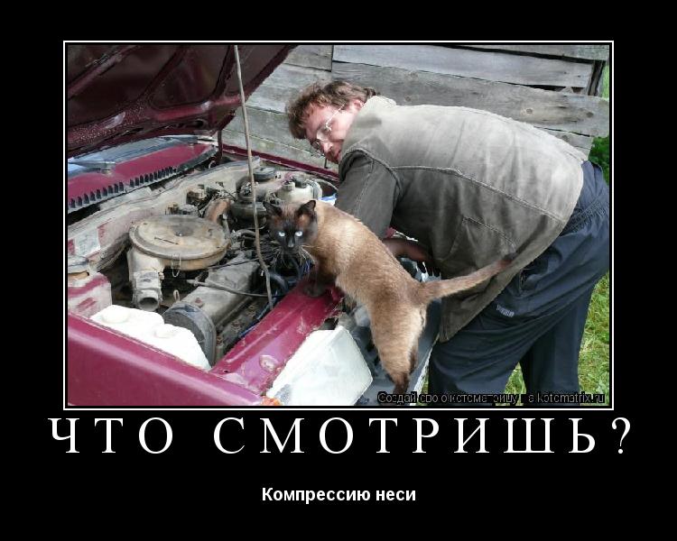 Что смотришь? Компрессию неси... Котоматрица: Что смотришь? Компрессию неси