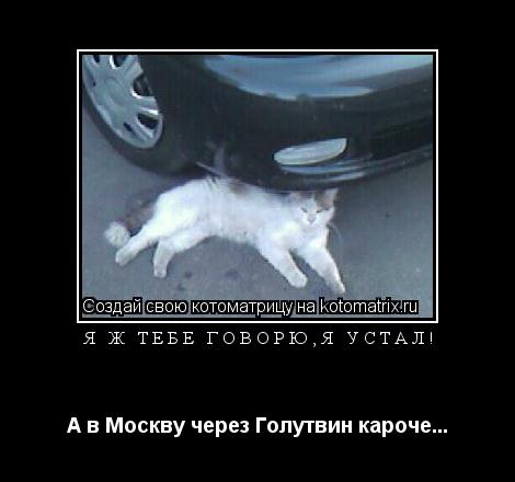 Я ж тебе говорю,я устал! А в Москву через Голутвин кароче...... Котоматрица: Я ж тебе говорю,я устал! А в Москву через Голутвин кароче...