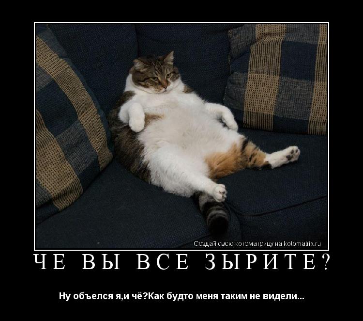 Чё вы все зырите? Ну объелся я,и чё?Как будто меня таким не видели...... Котоматрица: Чё вы все зырите? Ну объелся я,и чё?Как будто меня таким не видели...