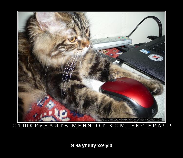 Отшкрябайте меня от компьютера!!! Я на улицу хочу!!!... Котоматрица: Отшкрябайте меня от компьютера!!! Я на улицу хочу!!!