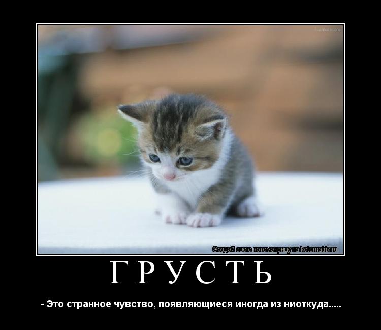 ГРУСТЬ - Это странное чувство, появляющиеся иногда из ниоткуда........ Котоматрица: ГРУСТЬ - Это странное чувство, появляющиеся иногда из ниоткуда.....