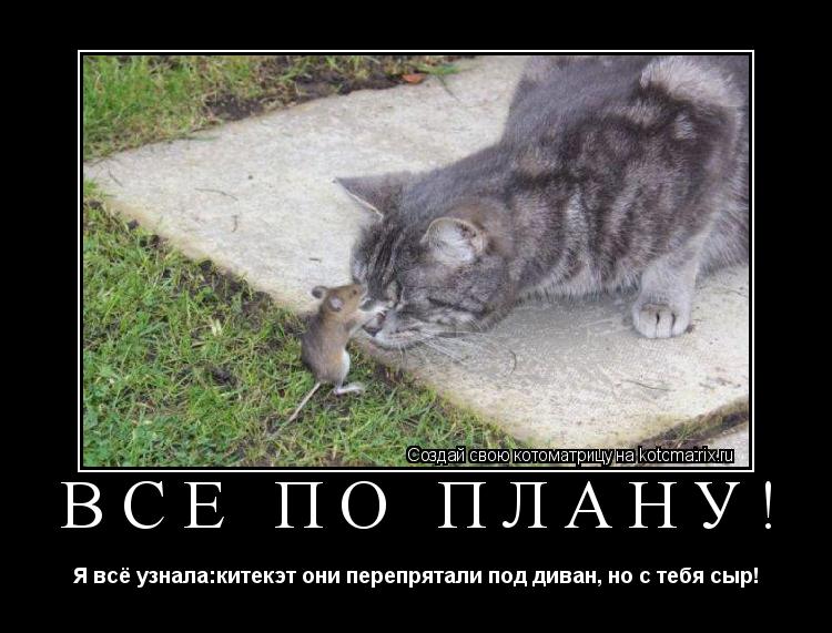 Всё по плану! Я всё узнала:китекэт они перепрятали под диван, но с тебя сыр!... Котоматрица: Всё по плану! Я всё узнала:китекэт они перепрятали под диван, но с тебя сыр!