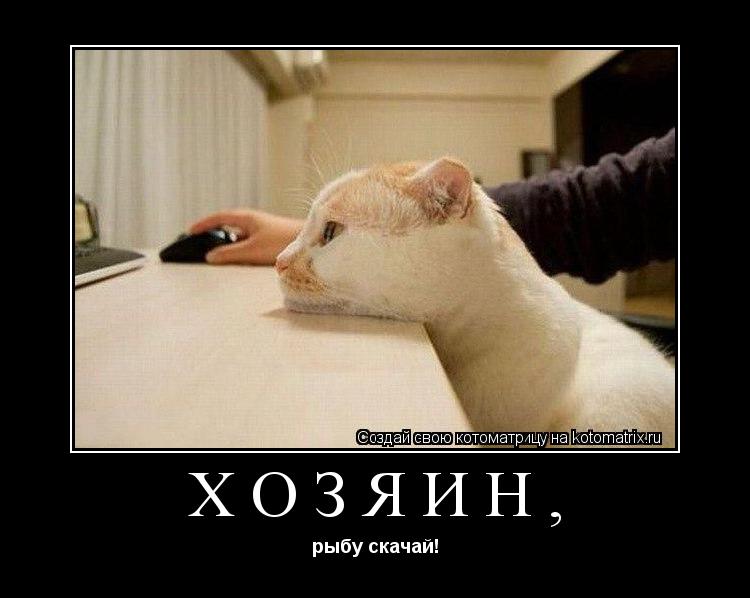 Хозяин, рыбу скачай!... Котоматрица: Хозяин, рыбу скачай!