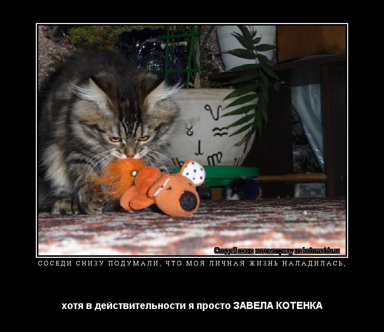 Соседи снизу подумали, что моя личная жизнь наладилась, хотя в действительности я просто ЗАВЕЛА КОТЕН... Котоматрица: Соседи снизу подумали, что моя личная жизнь наладилась, хотя в действительности я просто ЗАВЕЛА КОТЕНКА