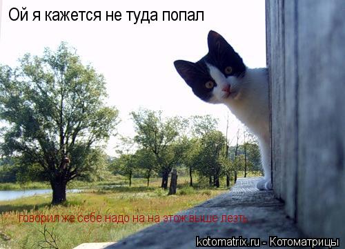 Ой я кажется не туда попал говорил же себе надо на на этож выше лезть ...... Котоматрица: Ой я кажется не туда попал говорил же себе надо на на этож выше лезть ...