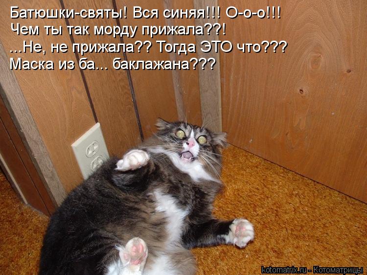 Батюшки-святы! Вся синяя!!! О-о-о!!! Чем ты так морду прижала??! ...Не, не прижала?? Тогда ЭТО что???... Котоматрица: Батюшки-святы! Вся синяя!!! О-о-о!!! Чем ты так морду прижала??! ...Не, не прижала?? Тогда ЭТО что??? Маска из ба... баклажана???