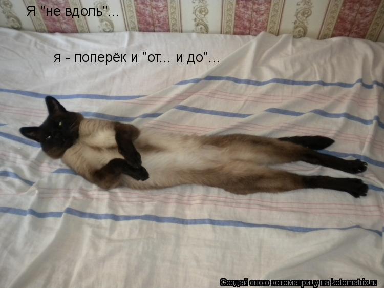 Я "не вдоль"... я - поперёк и "от... и до"...... Котоматрица: Я "не вдоль"... я - поперёк и "от... и до"...