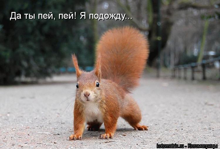 Да ты пей, пей! Я подожду...... Котоматрица: Да ты пей, пей! Я подожду...