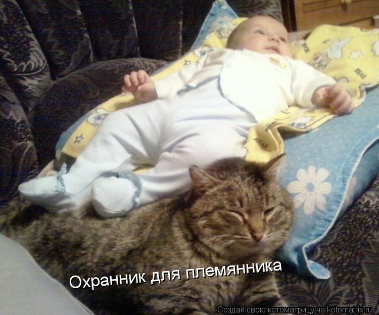 Охранник для племянника... Котоматрица: Охранник для племянника