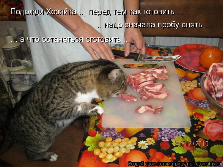 Подожди Хозяйка ... перед тем как готовить ... ... надо сначала пробу снять ... ... а что останетьс... Котоматрица: Подожди Хозяйка ... перед тем как готовить ... ... надо сначала пробу снять ... ... а что останеться сготовить ...