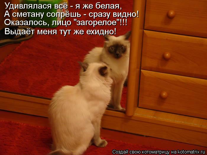 Удивлялася всё - я же белая, А сметану сопрёшь - сразу видно! Оказалось, лицо "загорелое"!!! Выдаёт м... Котоматрица: Удивлялася всё - я же белая, А сметану сопрёшь - сразу видно! Оказалось, лицо "загорелое"!!! Выдаёт меня тут же ехидно!