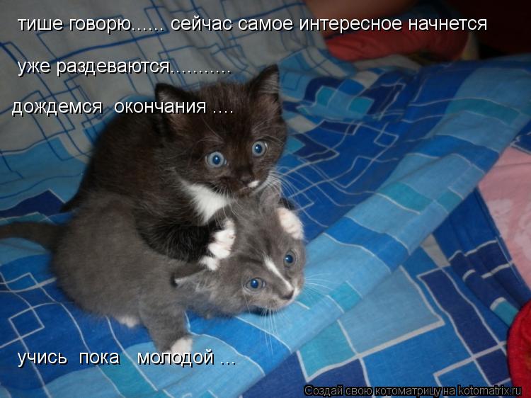 Котоматрица: тише говорю...... сейчас самое интересное начнется уже раздеваются........... дождемся  окончания .... учись  пока   молодой ...