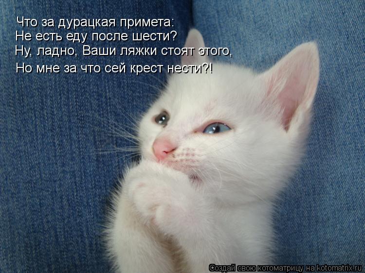 Что за дурацкая примета: Но мне за что сей крест нести?! Не есть еду после шести? Ну, ладно, Ваши ля... Котоматрица: Что за дурацкая примета: Но мне за что сей крест нести?! Не есть еду после шести? Ну, ладно, Ваши ляжки стоят этого,
