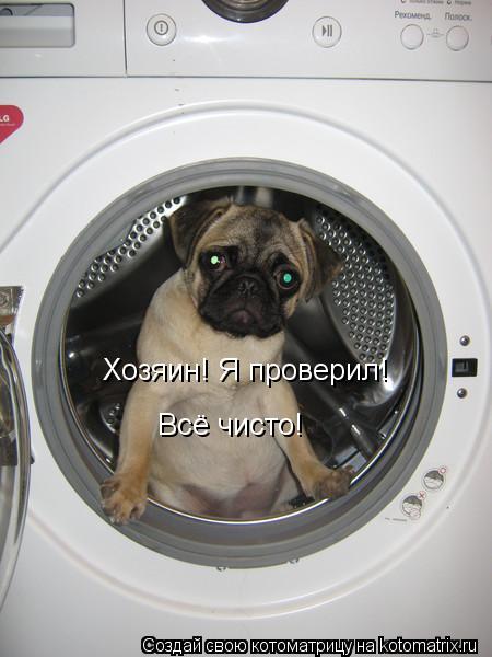 Хозяин! Я проверил! Всё чисто!... Котоматрица: Хозяин! Я проверил! Всё чисто!