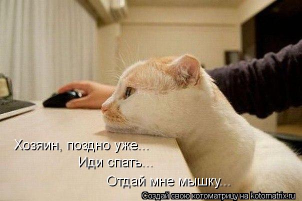 Хозяин, поздно уже... Иди спать... Отдай мне мышку...... Котоматрица: Хозяин, поздно уже... Иди спать... Отдай мне мышку...